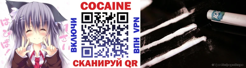 Купить закладки  Шилка  COCAIN 99% 