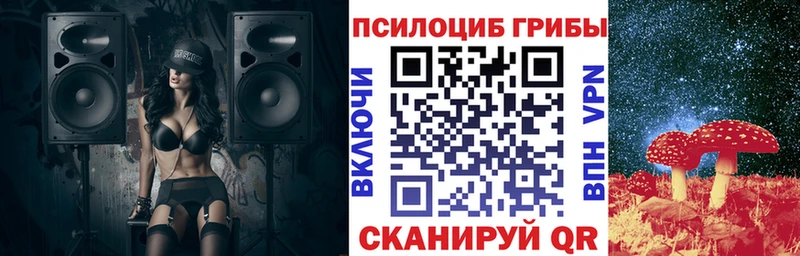 Купить где  Шилка  Псилоцибиновые грибы GOLDEN TEACHER 